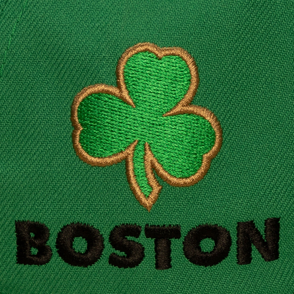 Boston Celtics NBA In the City Pro Snapback Mitchell & Ness Green