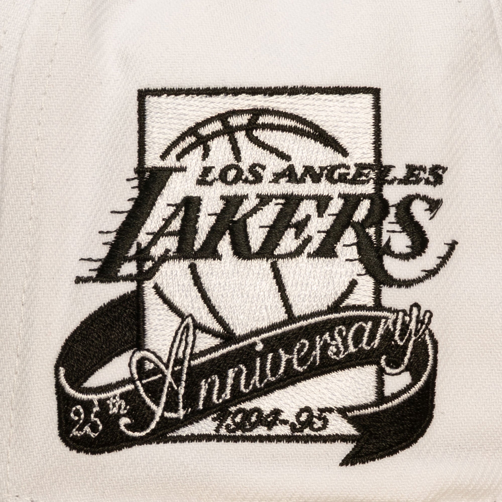 Los Angeles Lakers NBA In the City Pro Snapback Mitchell & Ness White